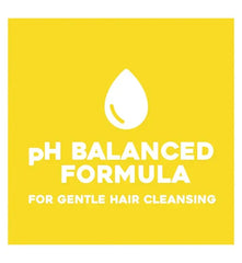 OGX Hydrate & Defrizz+ Kukui Oil Shampoo - 385 ml